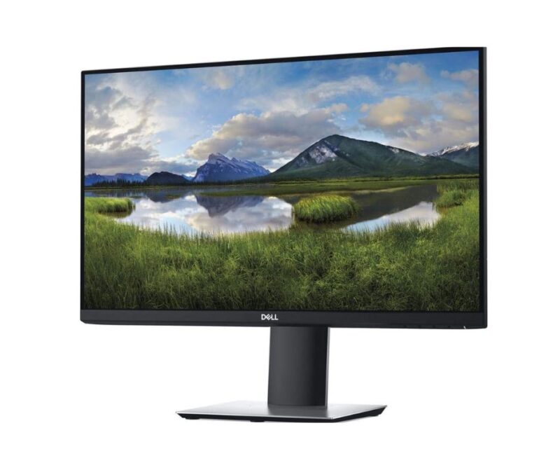 DELL P2419H